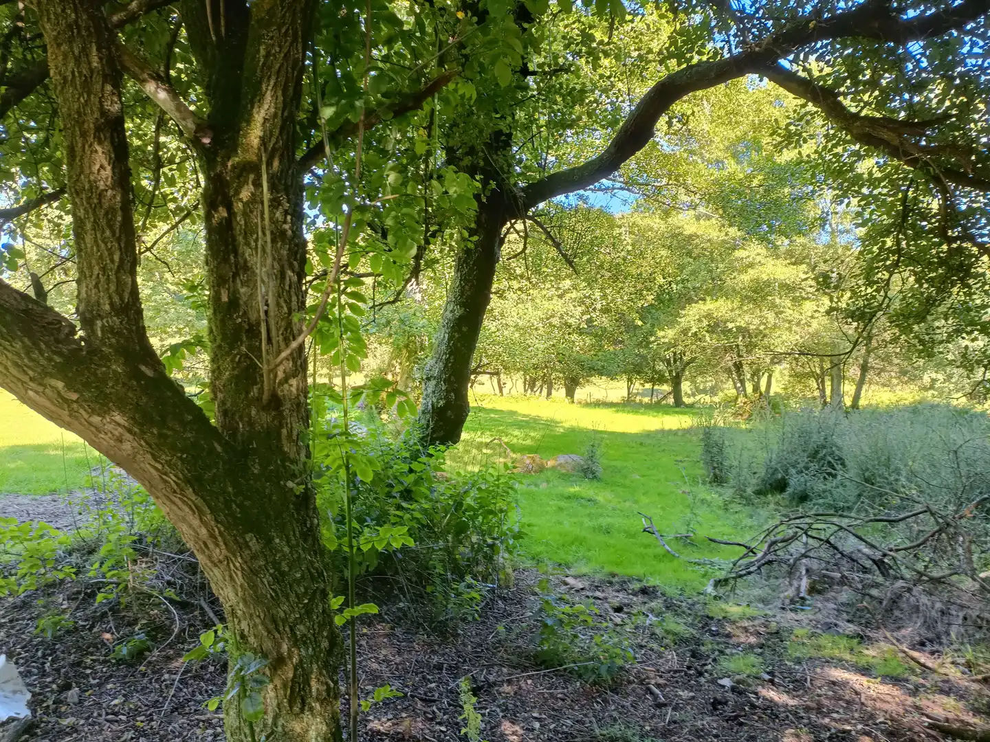 Casa o chalet en venta en Oza dos Ríos con Jardín privado y Trastero