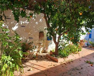 Garden of Country house for sale in Molina de Segura  with Terrace