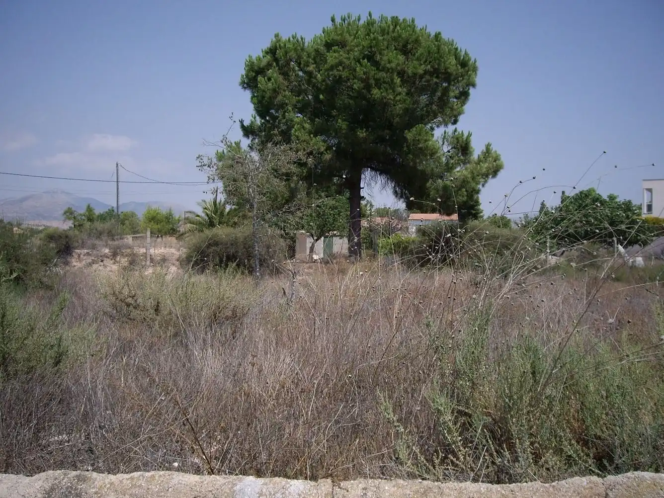 Finca rústica en venda en Alicante / Alacant amb Jardí privat, Terrassa i Traster