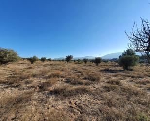 Land for sale in Villena