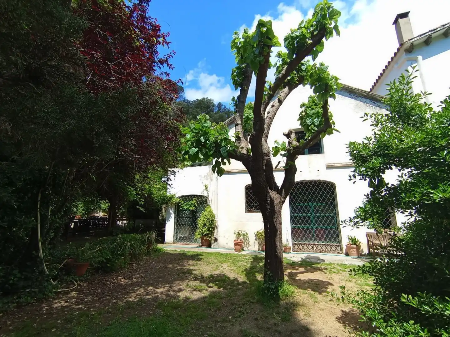 Jardí de Finca rústica en venda en Sant Cebrià de Vallalta amb Jardí privat, Terrassa i Piscina comunitària