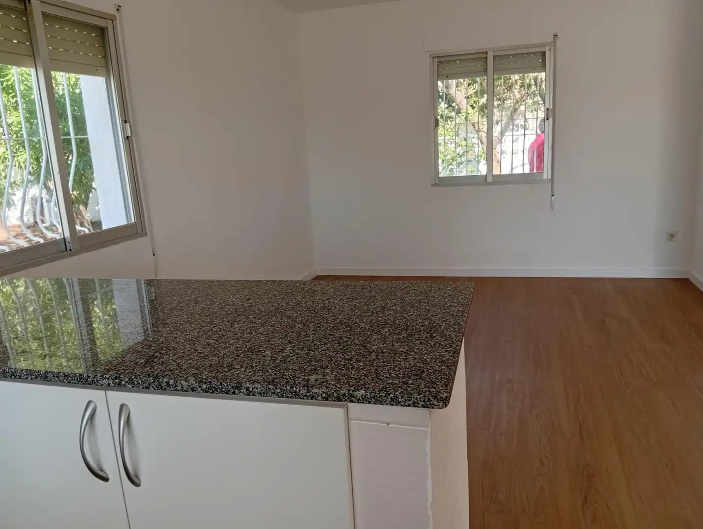 Cuina de Casa o xalet en venda en Alcanar amb Jardí privat