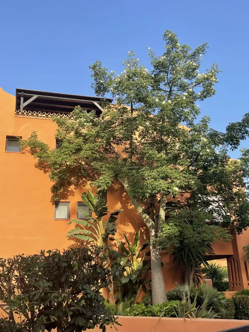 Apartament amb ascensor en venda a JARDINES DE NUEVA GALERA IV 7, imagen 40