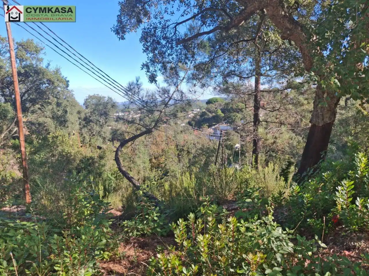 Residential land for sale in Montbarbat, imagen 9