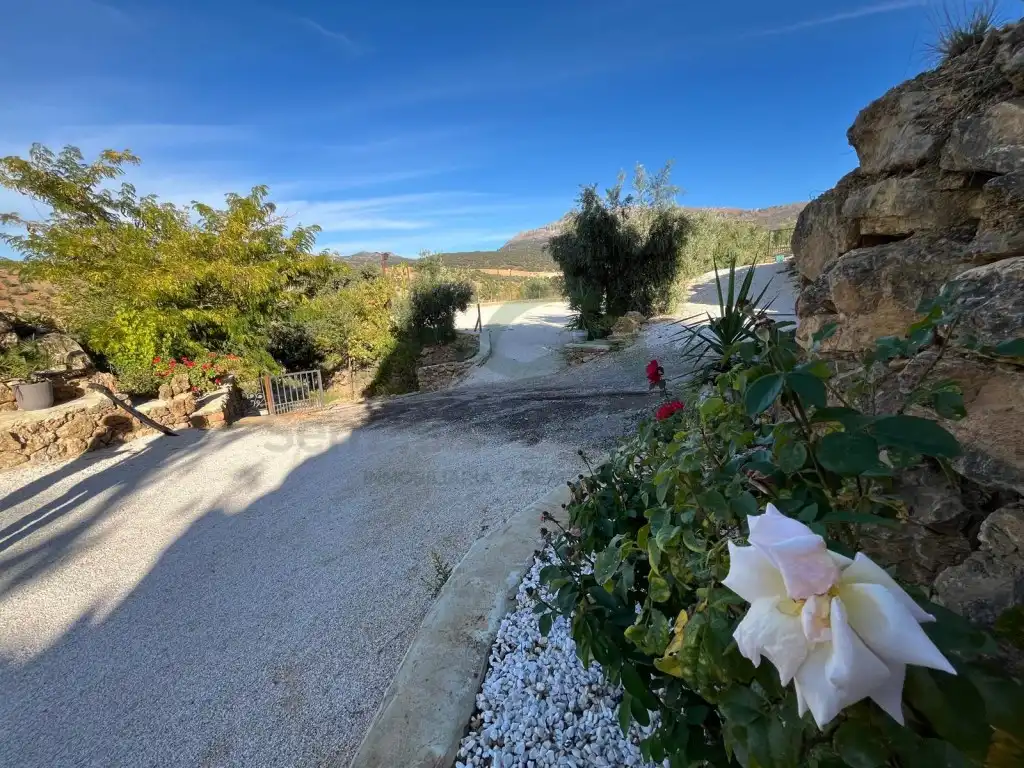 Vista exterior de Finca rústica de lloguer en Ronda
