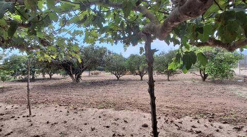 Foto 4 de Casa o xalet en venda a Bulevar del Xúquer, Cullera