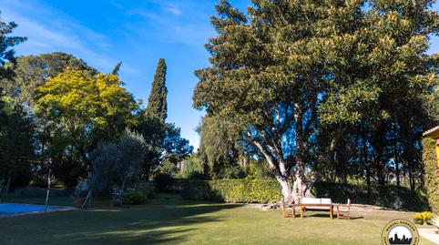 Photo 4 of House or chalet for sale in Parque Atlántico - Ronda este, Jerez de la Frontera