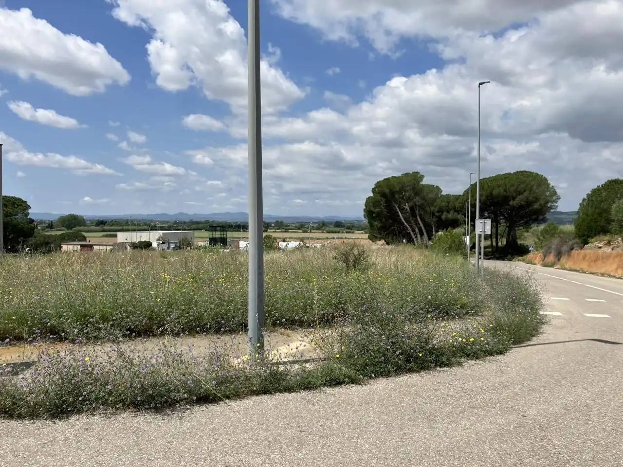 Terreny industrial en venda a Esganyadora, Riells