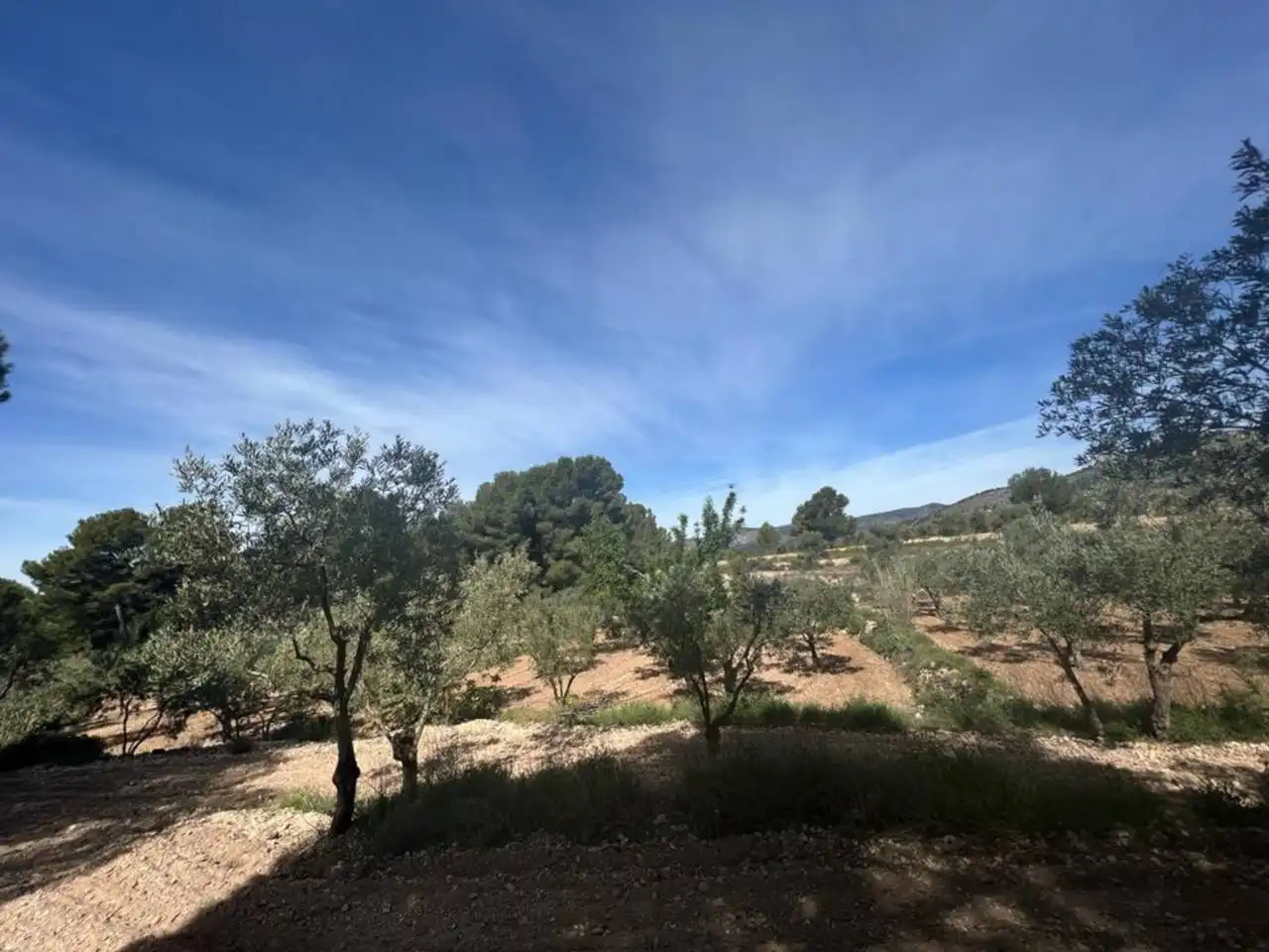 Chalet con jardín en venta en Calle Poligono, imagen 113
