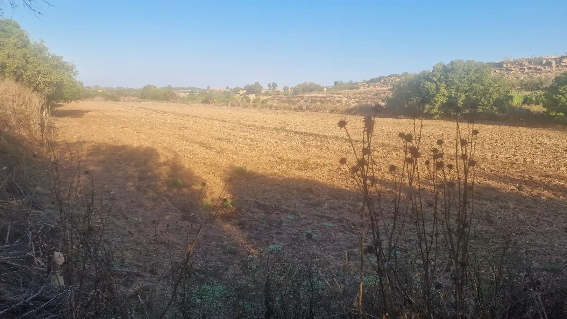Rural land for sale in Arbeca, imagen 19
