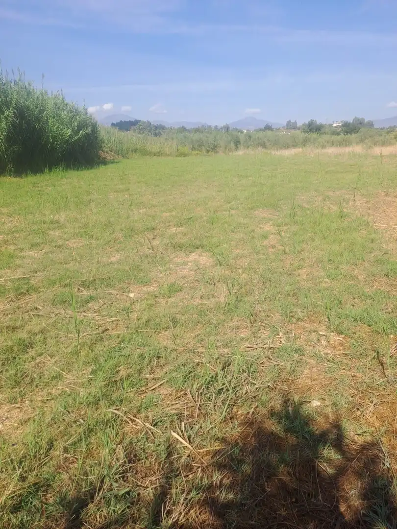 Terreno rustico in vendita a carretera coin, imagen 7