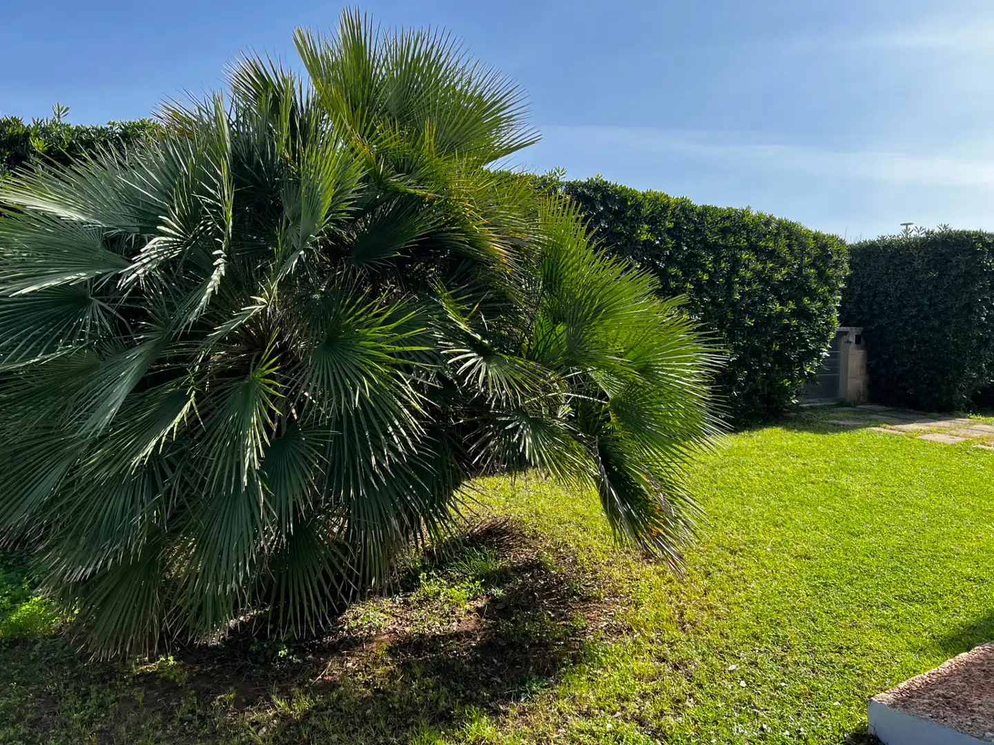 Garten von Haus oder Chalet zum Verkauf in Maó - Mahón mit Klimaanlage, Heizung und Privatgarten