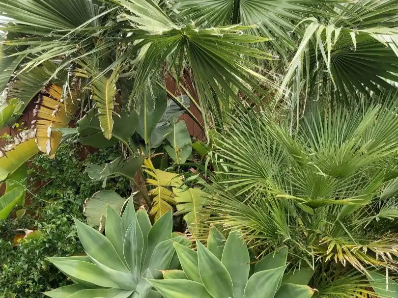 Jardí de Casa o xalet de lloguer en Las Negras