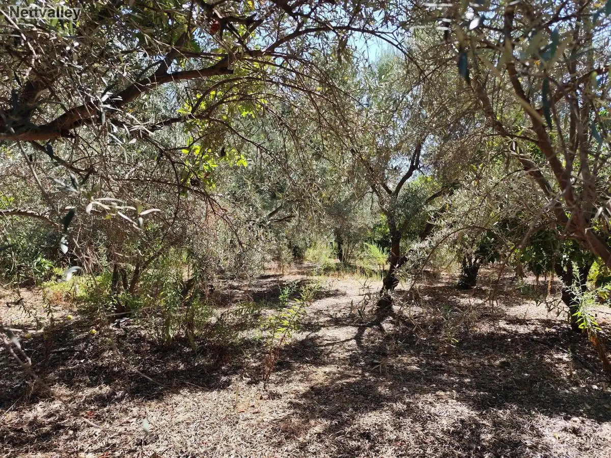 Casa rústica en venda a PAGO CAZORLAS DE MURCHAS, imagen 5