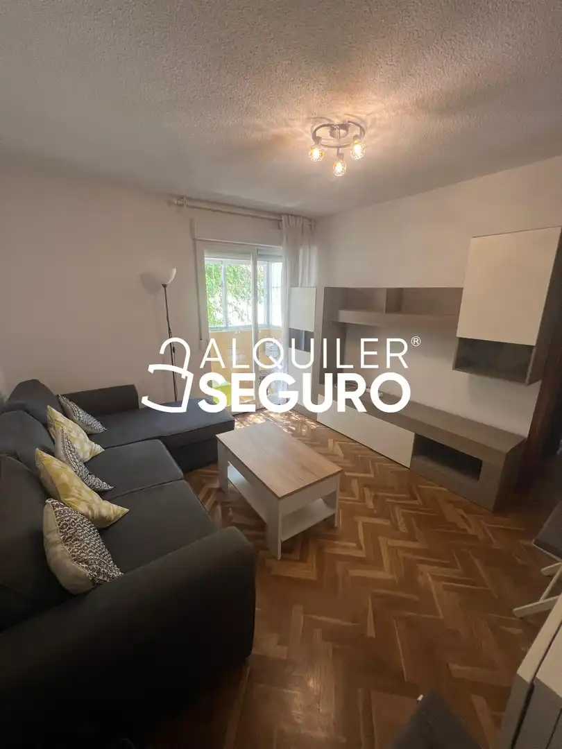 Living room of Flat for rent in Madrid  with Air Conditioner, Heating and Terrace