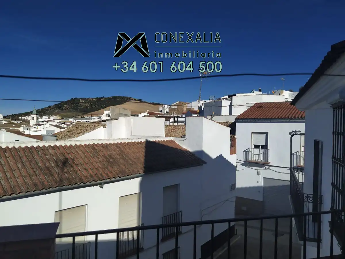 Vista exterior de Casa o chalet en venta en Pruna con Terraza y Balcón