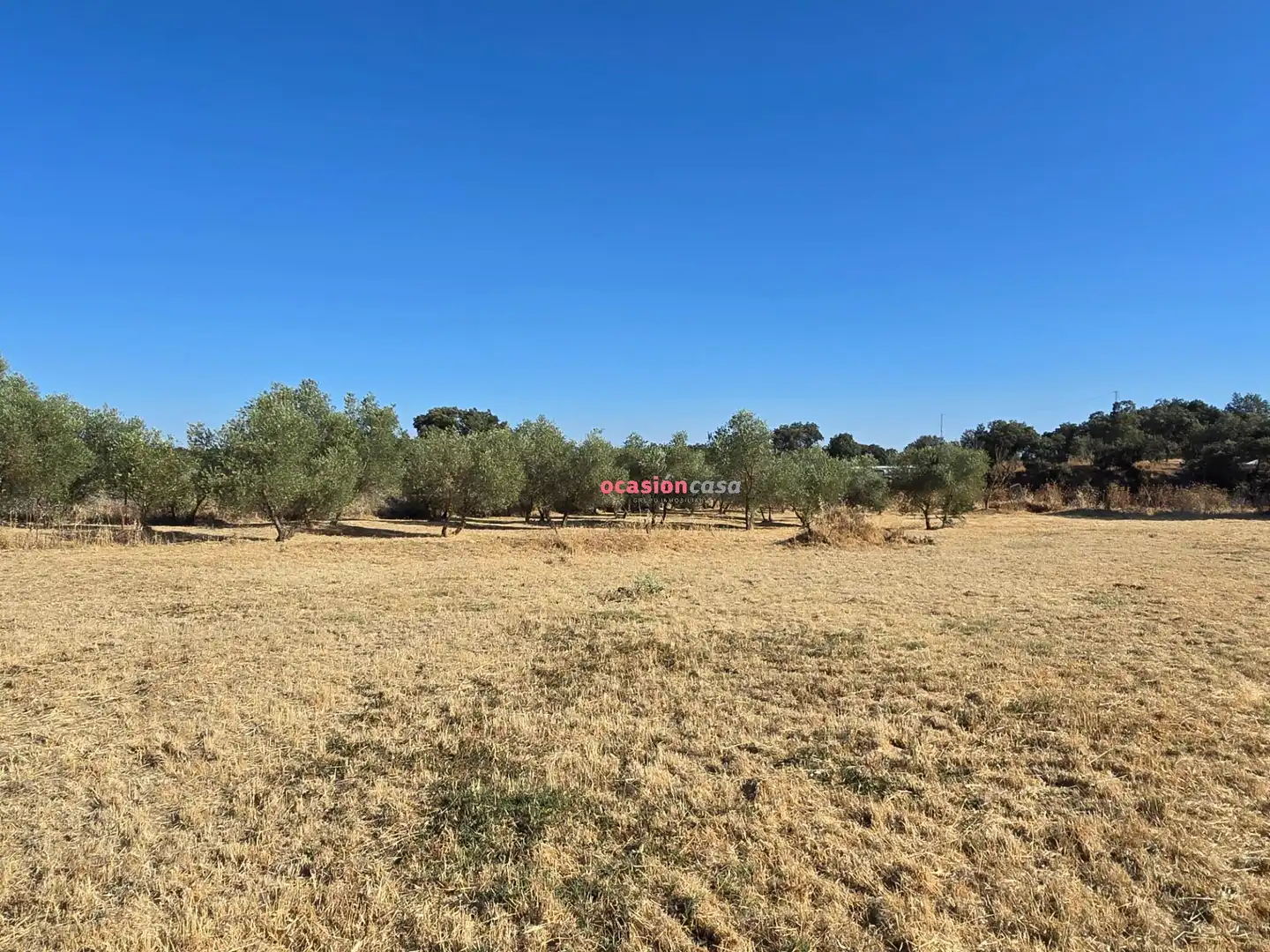 Houses for sale in Añora, Córdoba