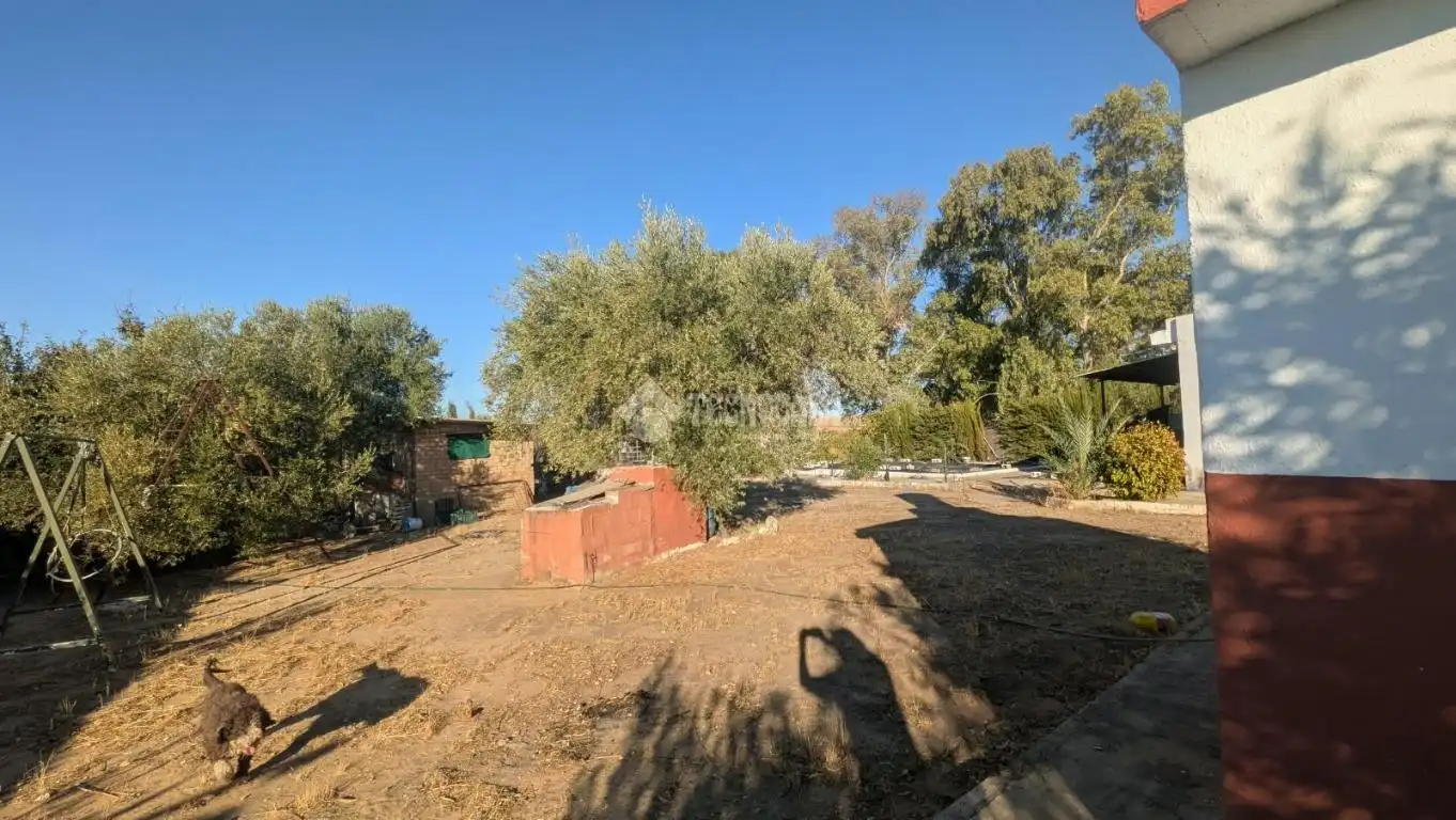 Casa rústica en venta en Morón de la Frontera, imagen 22