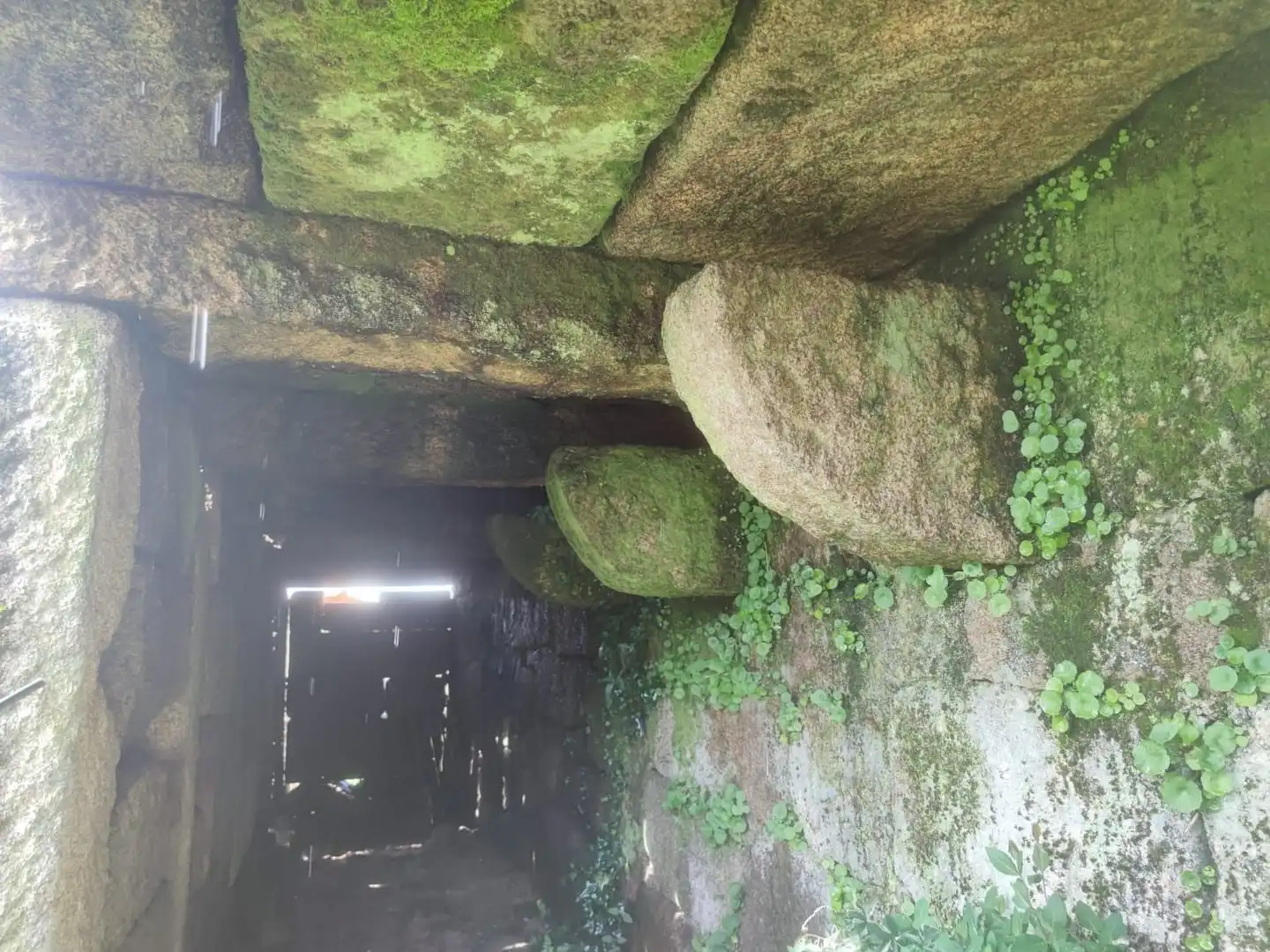Terreno rustico in vendita a Ponte Caldelas, imagen 15