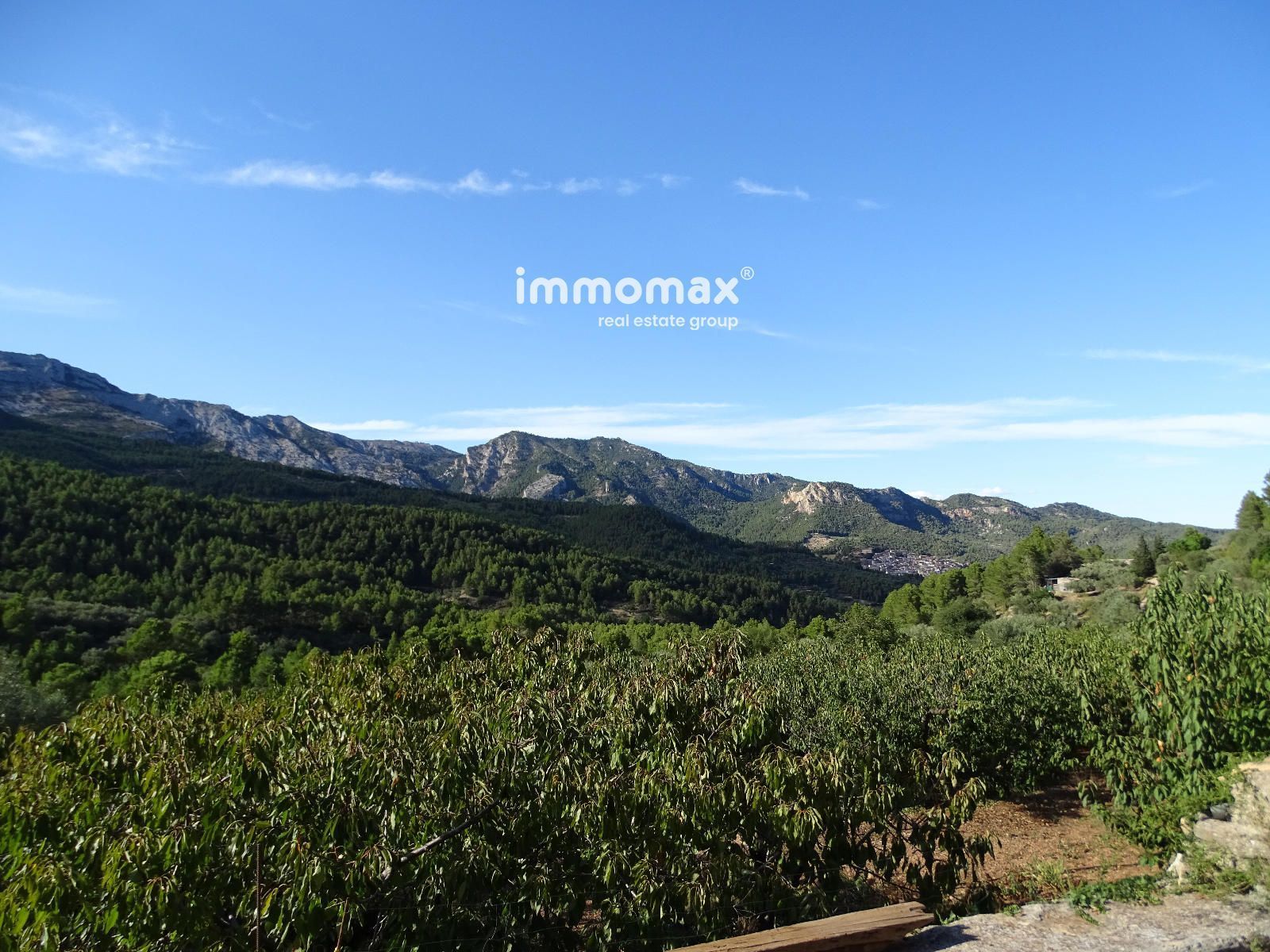 Land for sale in Paüls