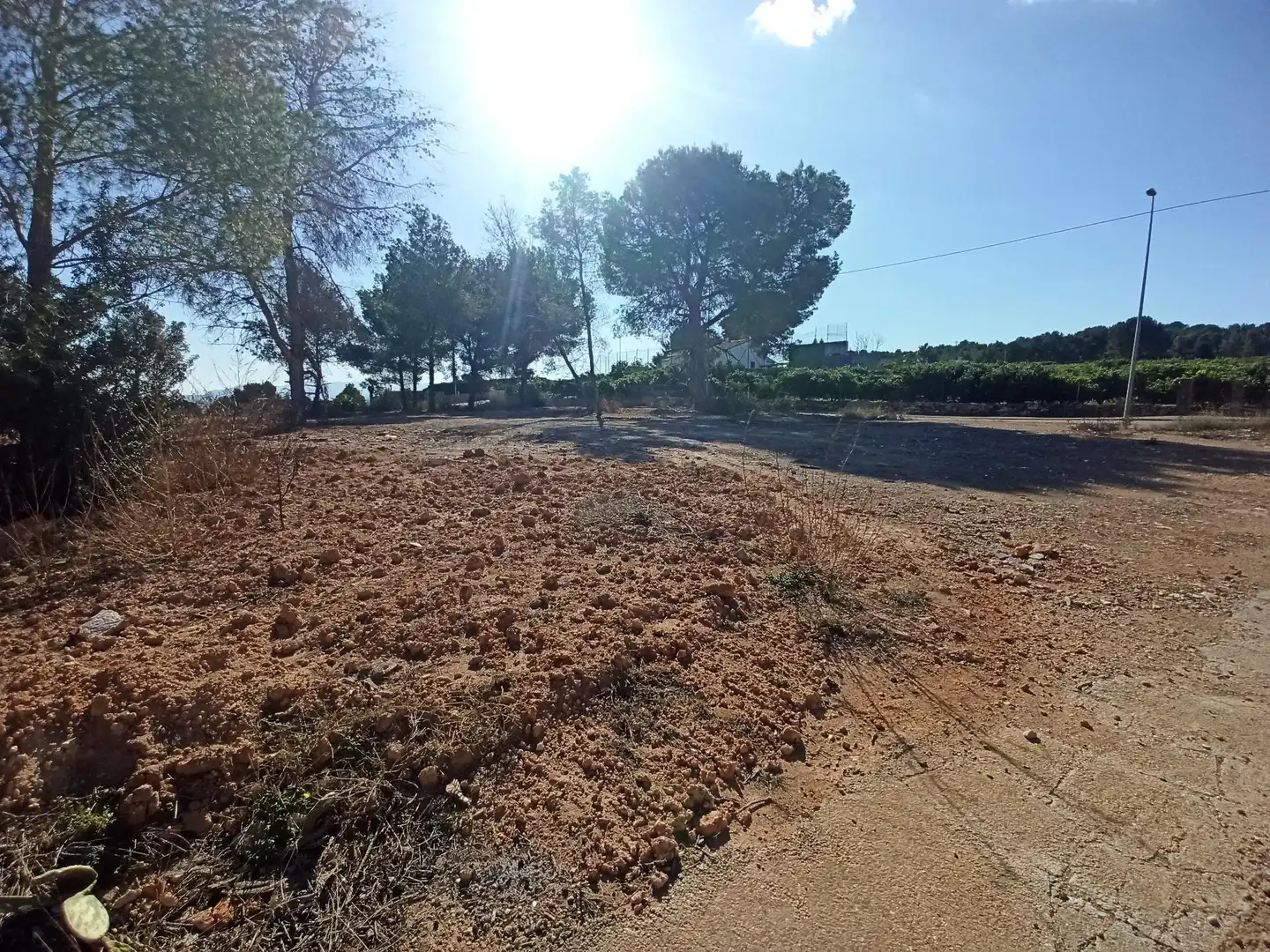 Terreno residencial en venta en Alberic, imagen 4