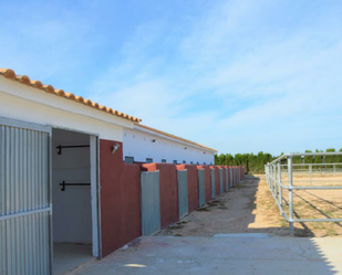 Vista exterior de Residencial en venda en San Miguel de Salinas