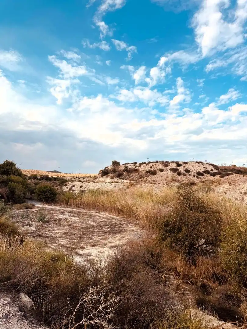 Terrain rustique à vendre à Campo de Murcia