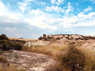 Terreny rústic en venda a Campo de Murcia