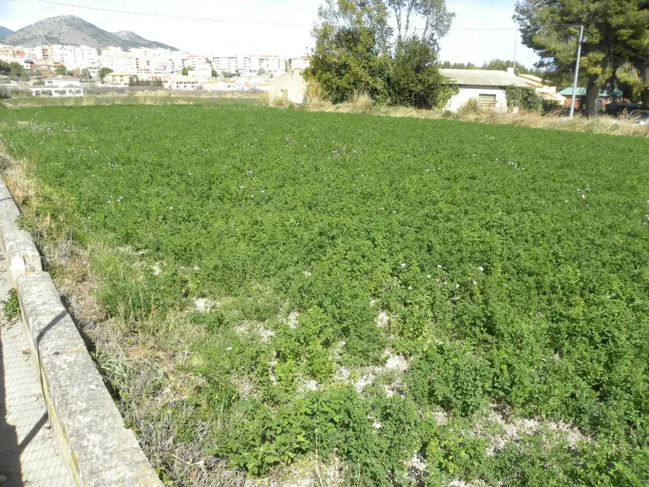Residential land for sale in Caravaca de la Cruz, imagen 7