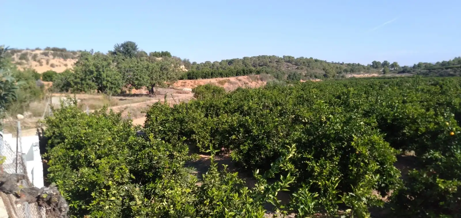Finca rústica en venta en Pedralba con Jardín privado, Terraza y Trastero