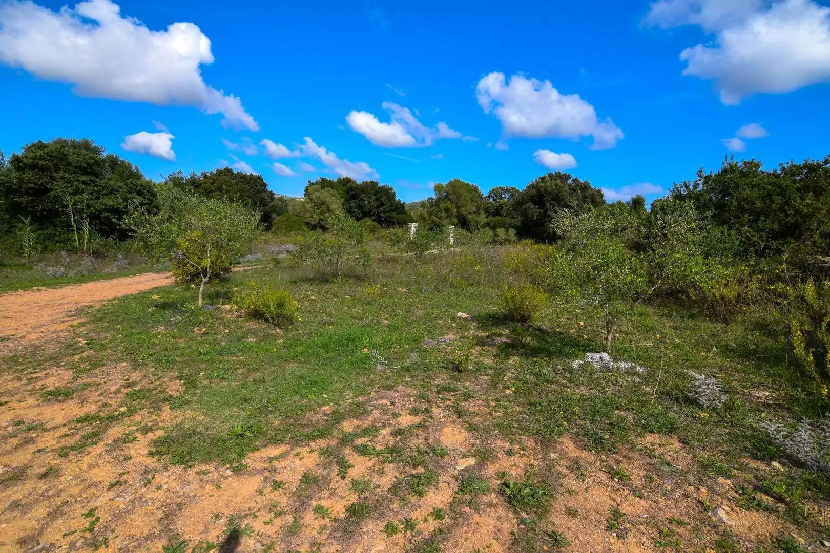 Country homes for rent in Artà Poble
