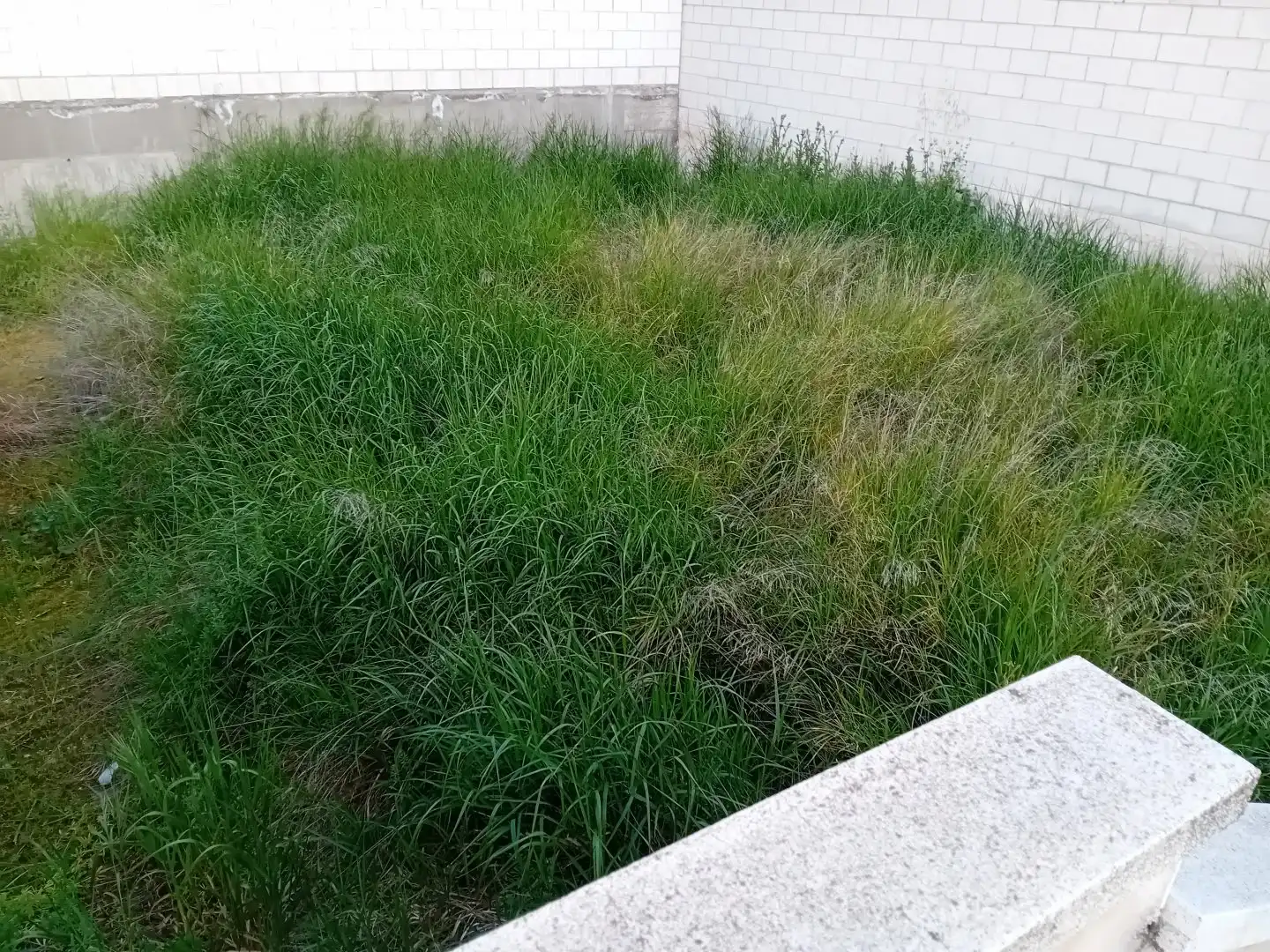 Local comercial en venta en La Guija, imagen 18