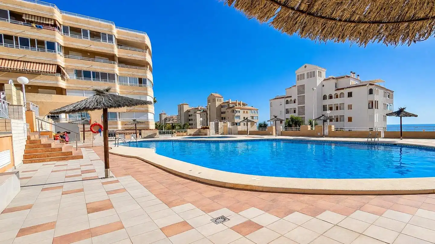Swimming pool of Detached homes for sale in Elche / Elx  with Terrace, Storage room and Swimming Pool