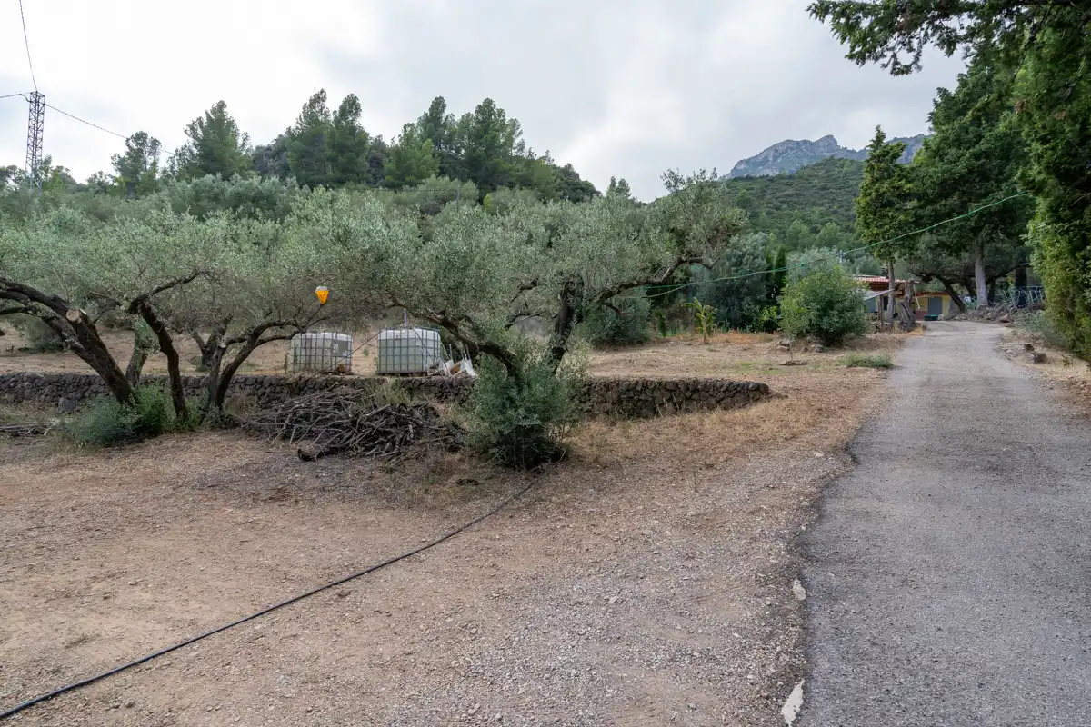 Finca rústica en venda a Carrer de Dalt, 3, Alfara de Carles