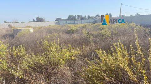 Photo 3 of House or chalet for sale in La Coquina, Cádiz