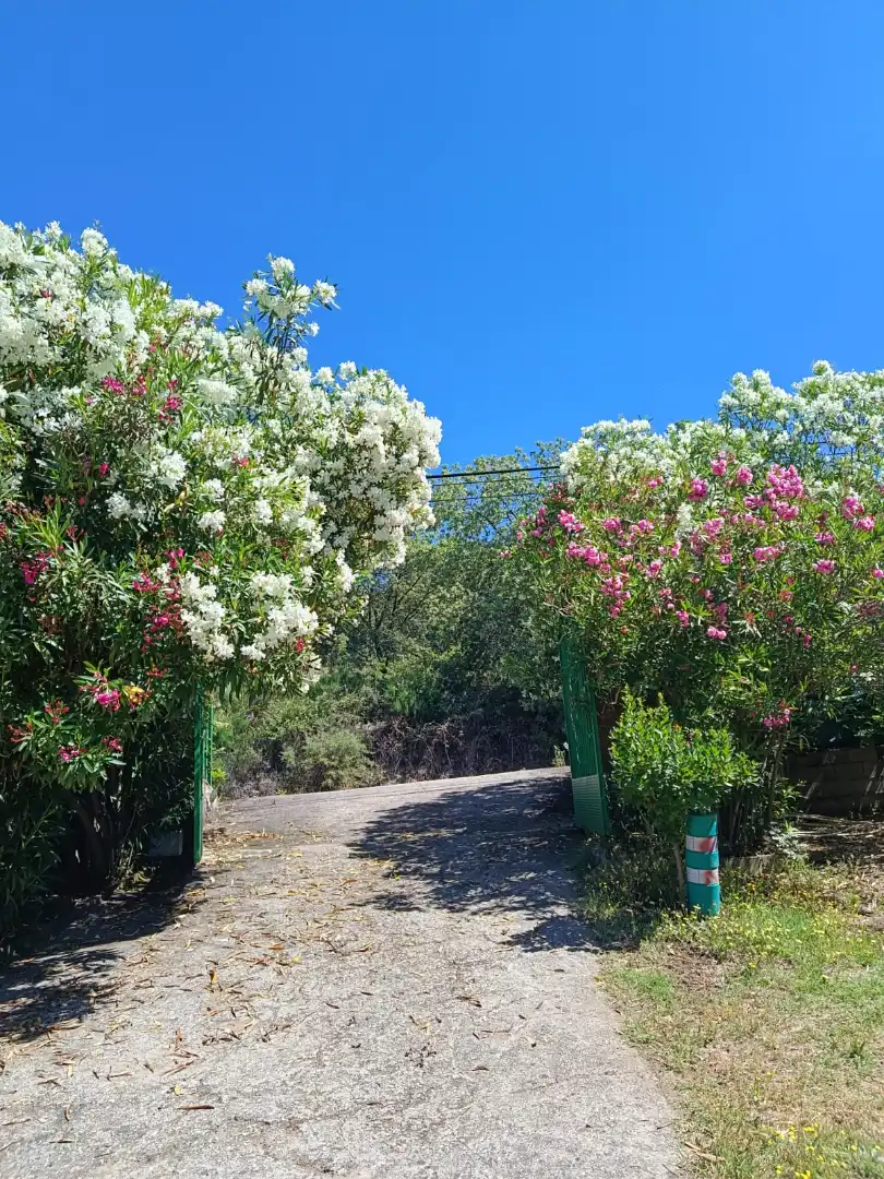 Exterior view of Land for sale in Jarandilla de la Vera