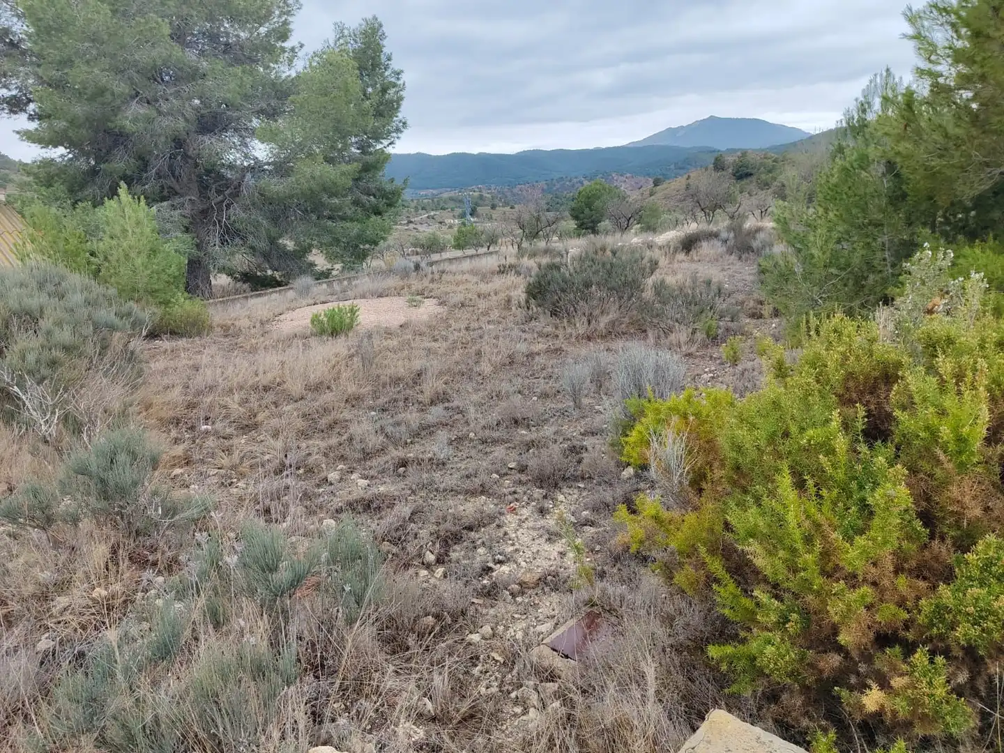 Villa avec jardin à vendre à Tibi, imagen 6