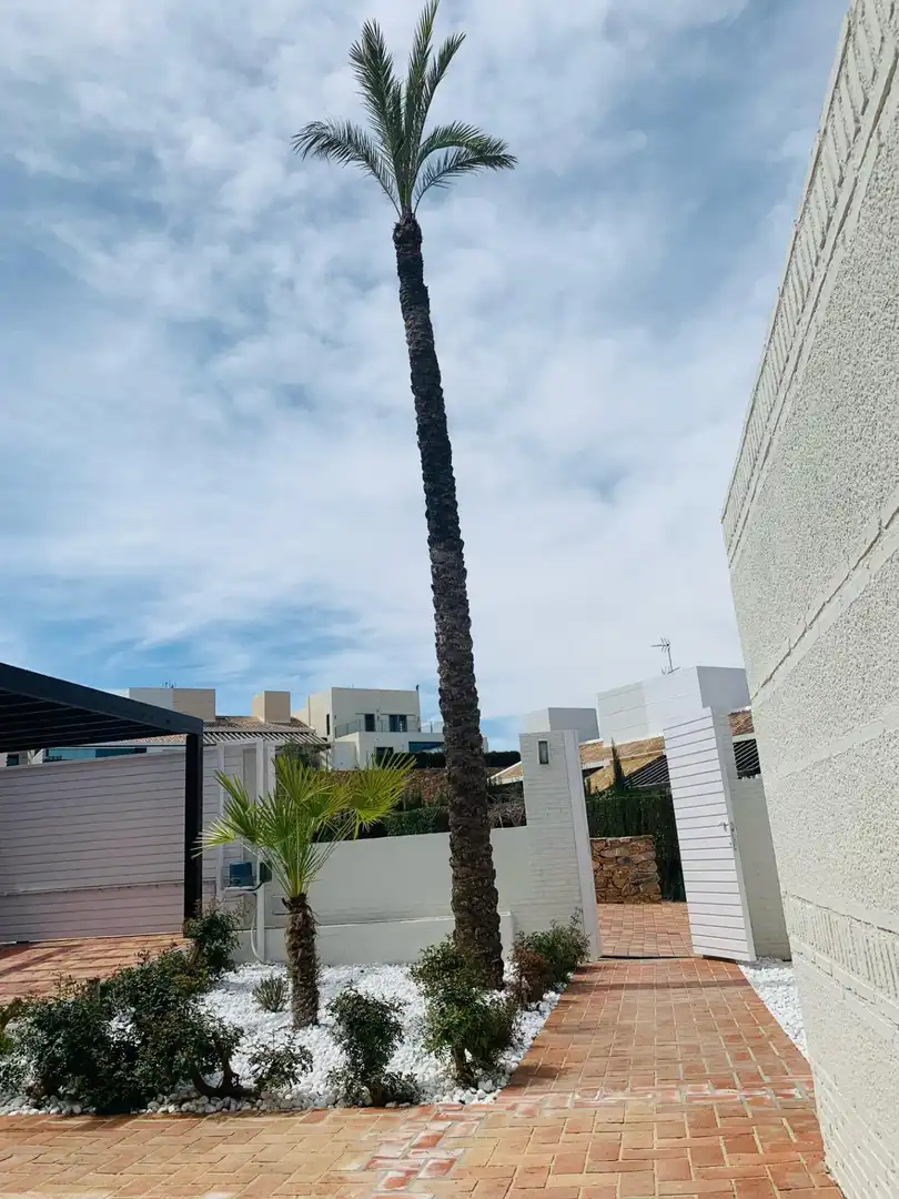 Adossat amb piscina en venda a Campo de Murcia, imagen 11