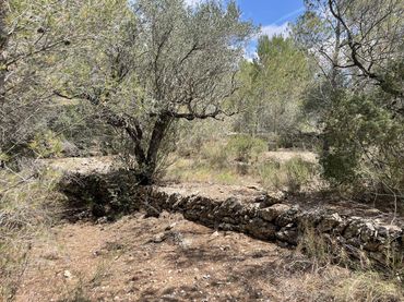 Terrenys i solars en venda a barrera