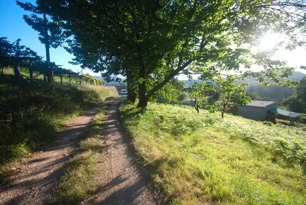Außenansicht von Residential zum Verkauf in Barro
