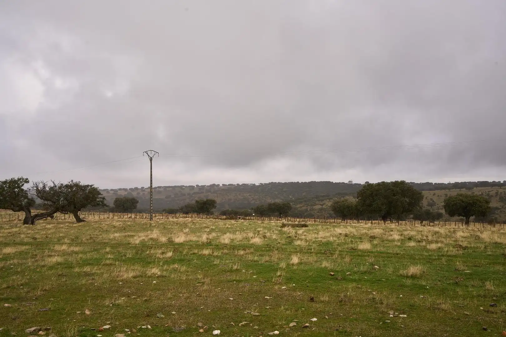 Finca rústica en venta en Horcajo Medianero