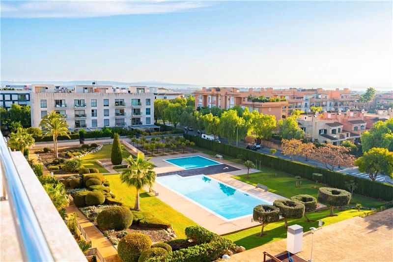 Piscina de Àtic de lloguer en  Palma de Mallorca amb Aire condicionat, Terrassa i Traster