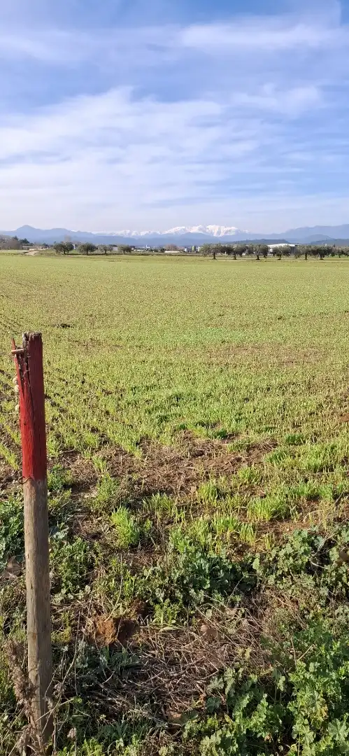 Terreno en venta en Vilafant