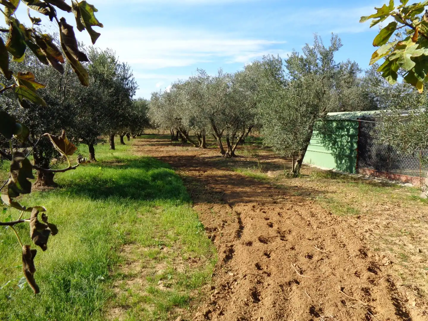Land for sale in Calonge i Sant Antoni