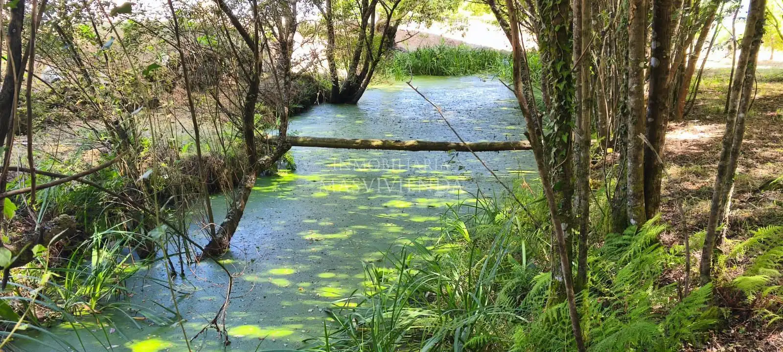 Casa amb jardí en venda a Entenza, imagen 42