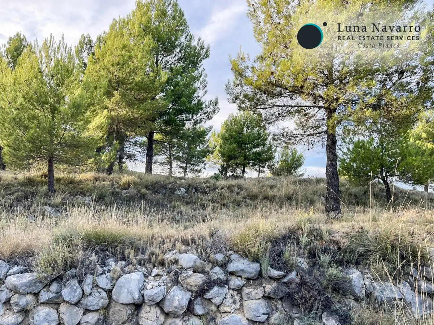 Terreno en venta en Calle San Antonio, 50, Confrides