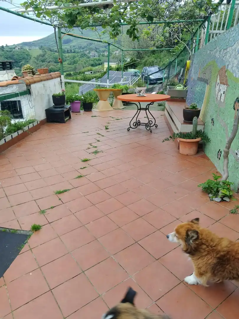 Terrace of Houses for sale in Zierbena  with Heating, Terrace and Storage room