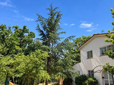 Maison avec jardin à vendre à LA PIZARRERA