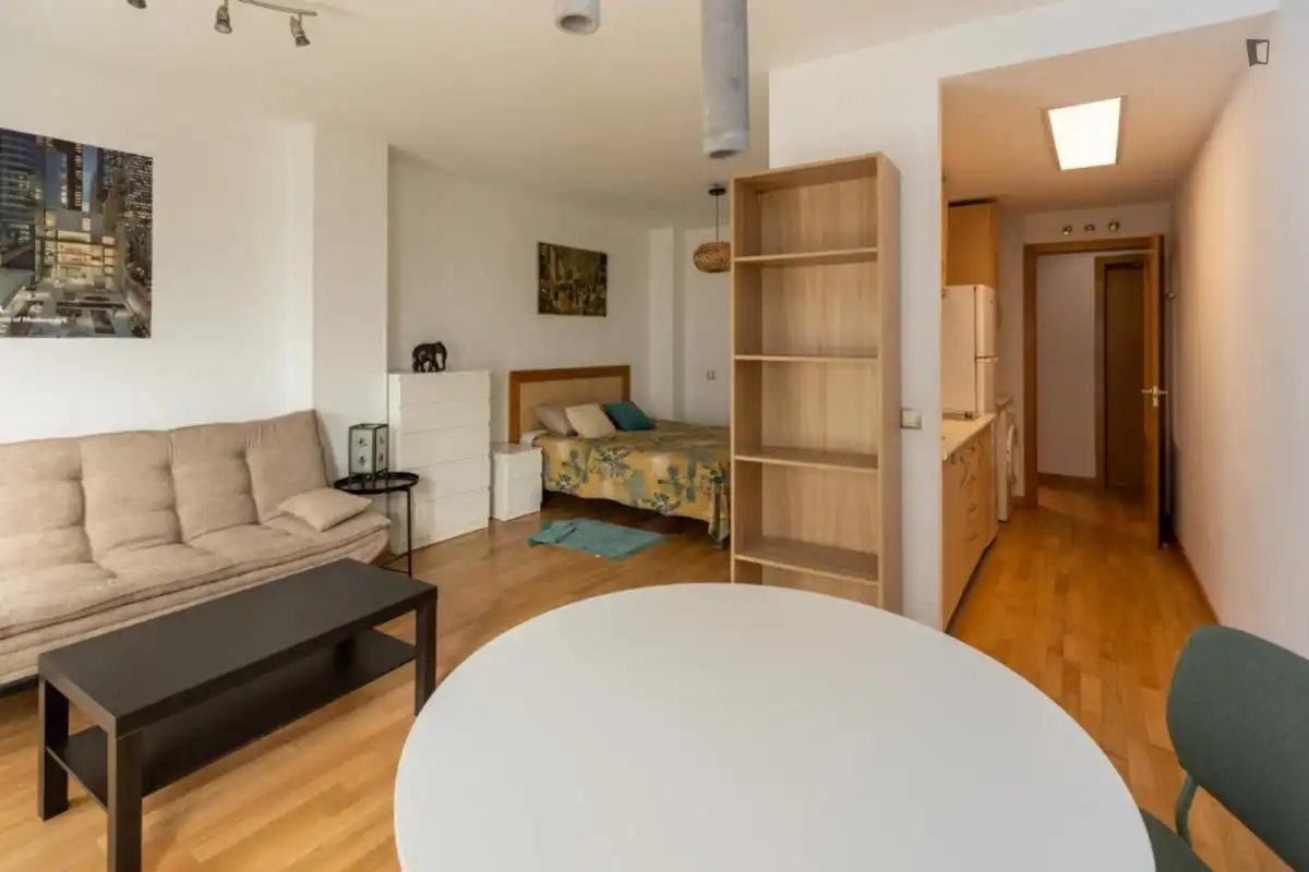 Wohnung zur Miete in Madrid, Madrid