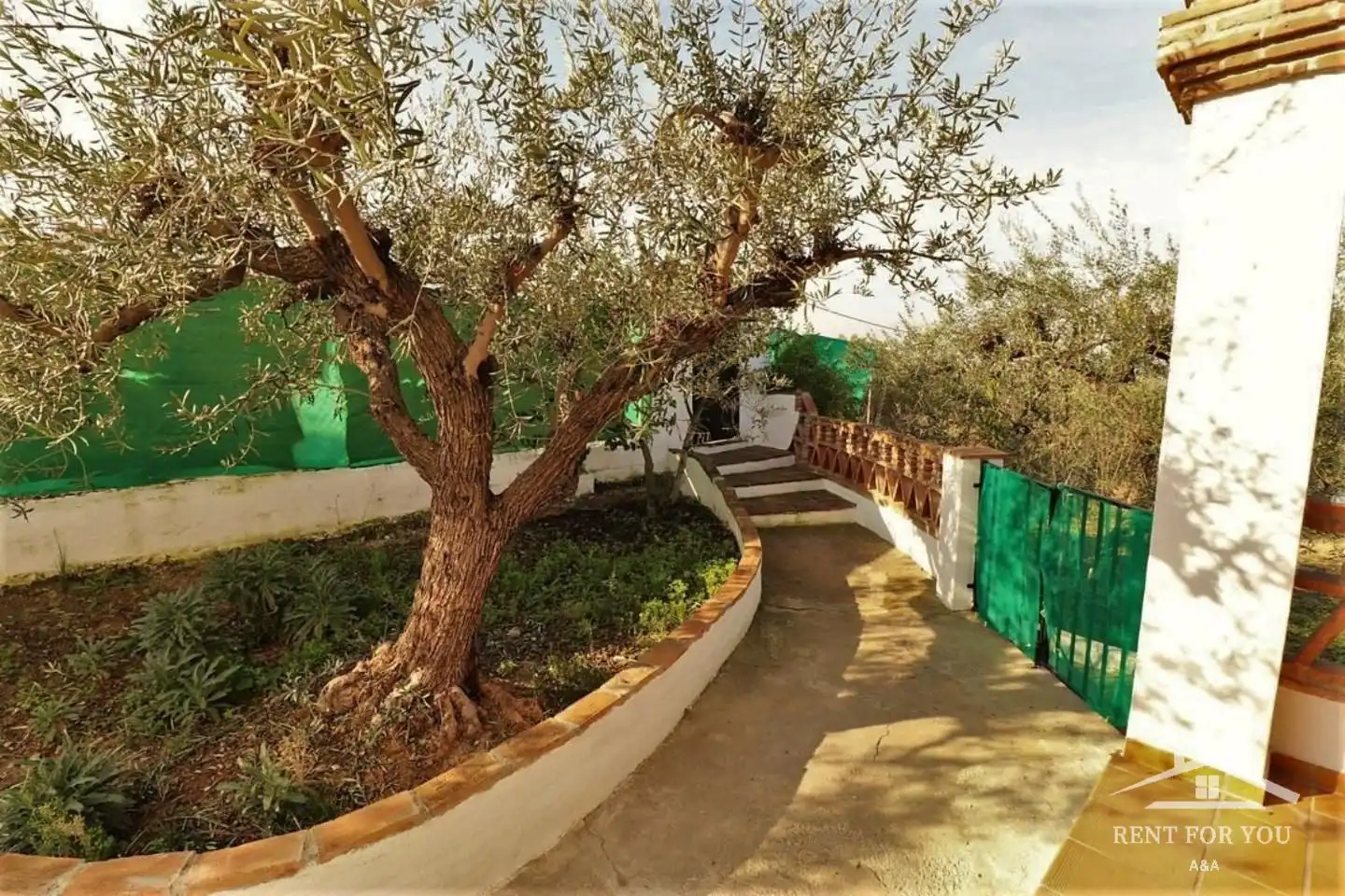 Casa con piscina in affitto a Zona rural, imagen 14